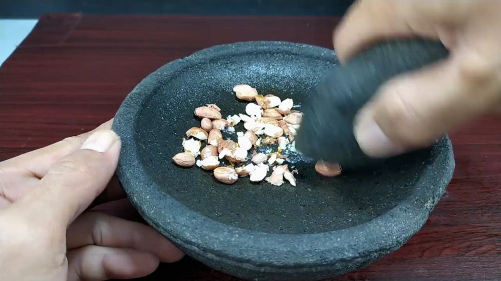 Bukan pakai gula pasir, begini cara mudah bikin racun tikus yang ampuh cuma pakai 2 bahan dapur