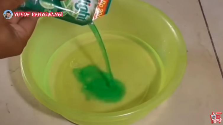 Tak perlu dibunuh, begini cara ampuh mengusir semut cuma pakai 2 bahan dapur