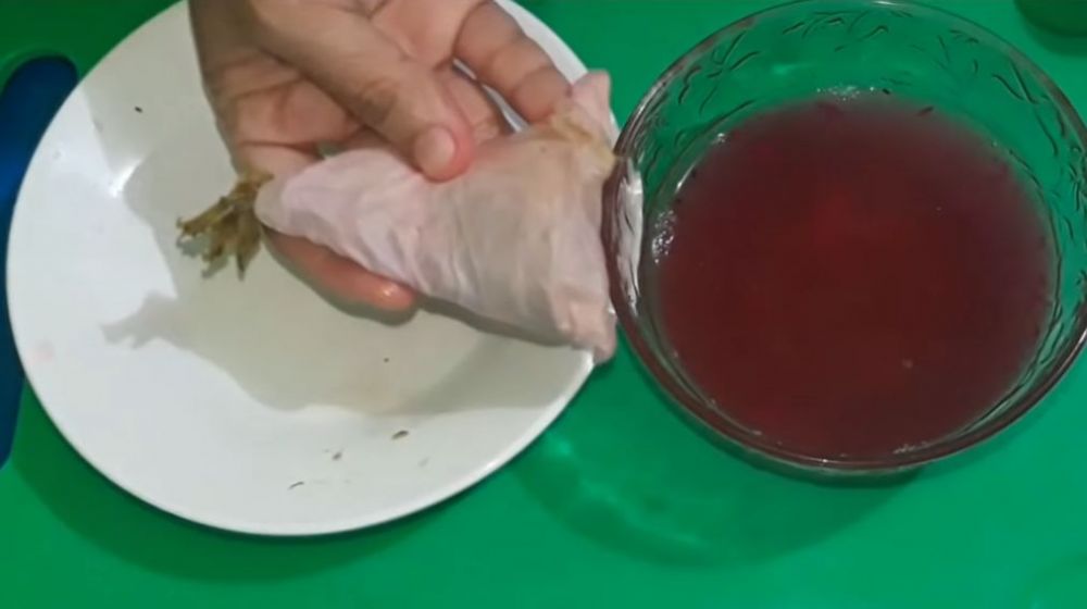 Bukan pakai kunyit, ini cara mudah deteksi formalin dan boraks pada ikan dengan 1 jenis ampas buah