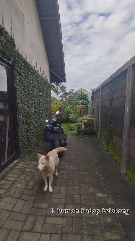 ayah kreatif rumah unik abis © 2023 brilio.net