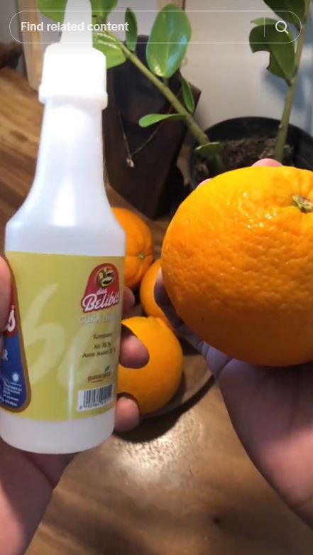 Tanpa campuran kimia, trik mengusir semut pakai 2 bahan dapur ini alami dan ampuh