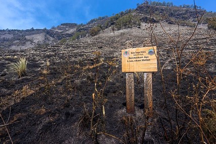 potret terkini padang savana Bromo usai terbakar terkena flare Berbagai sumber