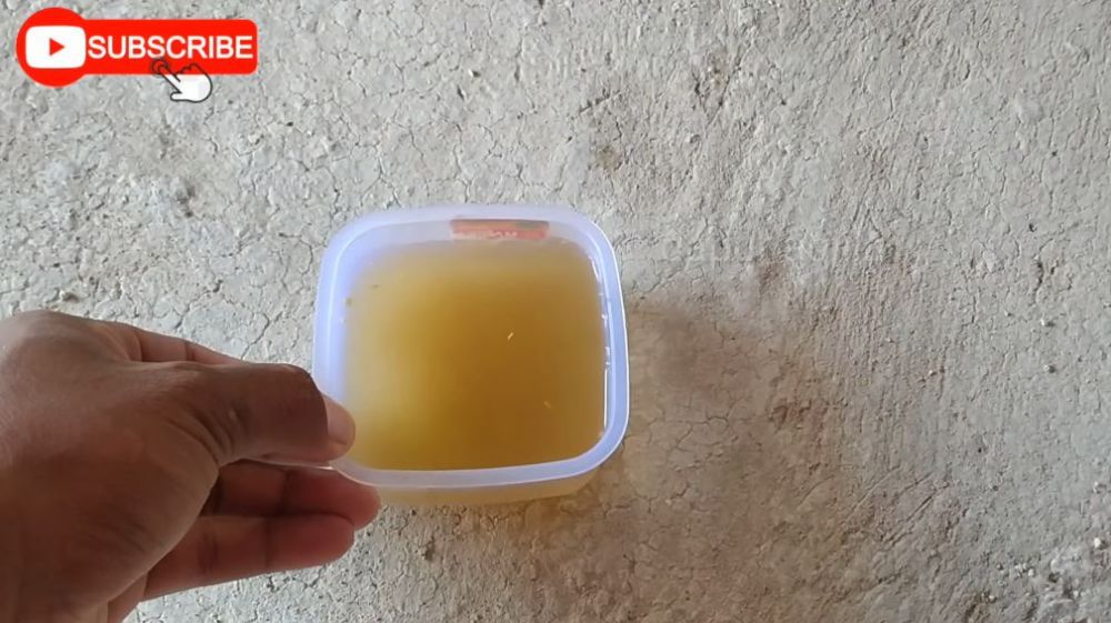 Ampuh tanpa bikin perangkap, ini trik mengusir tikus cuma pakai 1 bahan dapur