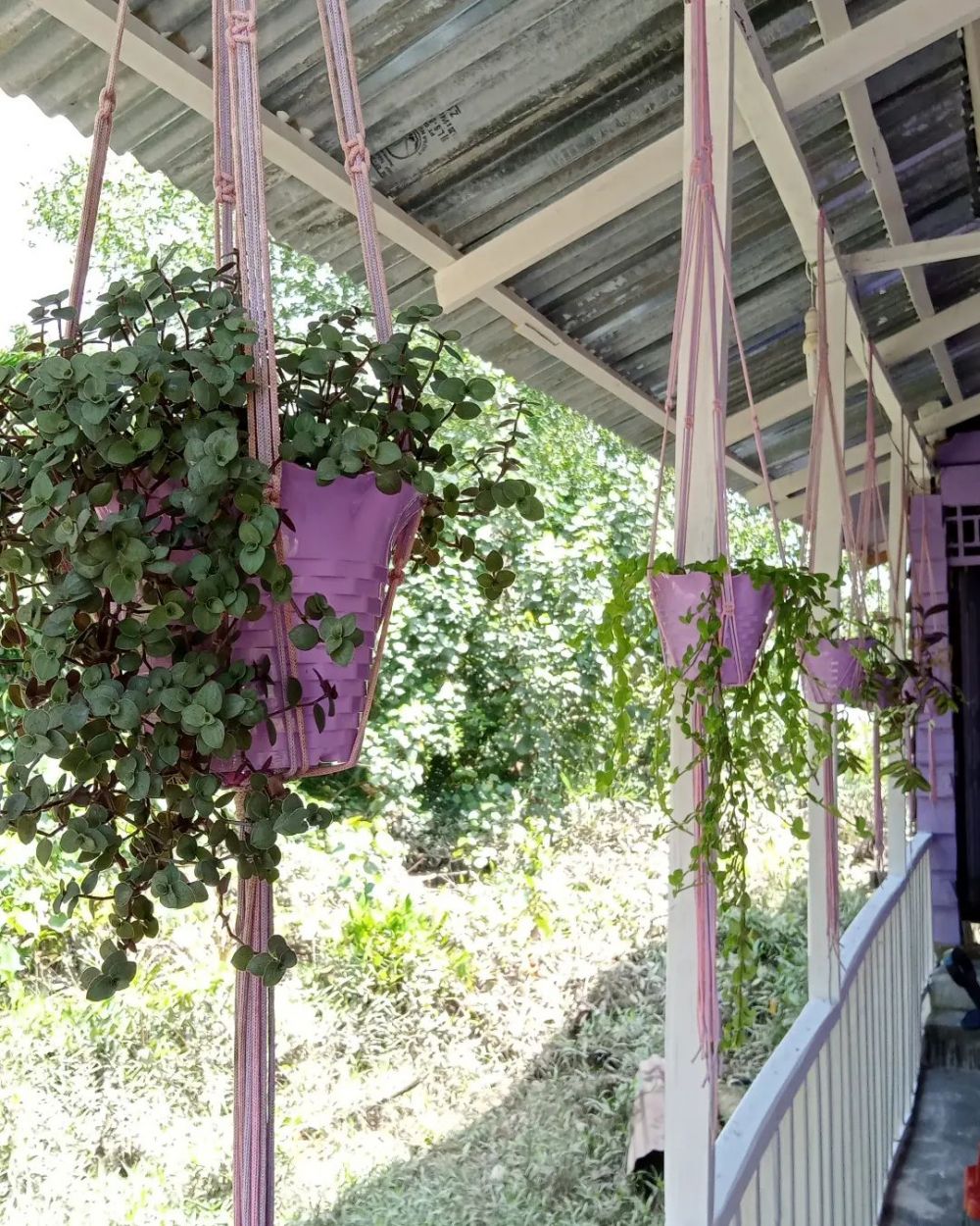 rumah ungu atas rawa © Instagram