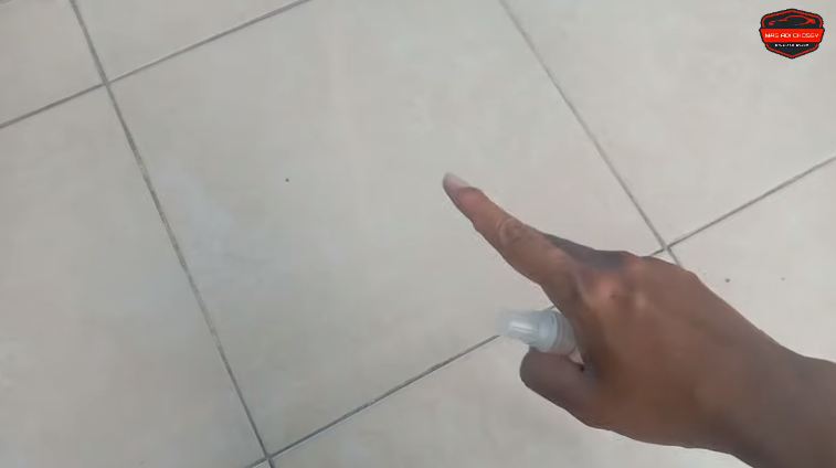 Tak perlu repot buat perangkap, ini cara ampuh mengusir kecoak cuma pakai 1 bahan dapur