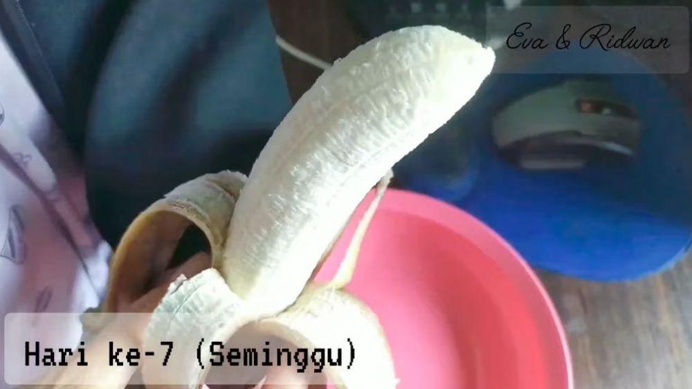 Cara menyimpan pisang matang di kulkas, tak lembek dan menghitam sampai 1 minggu