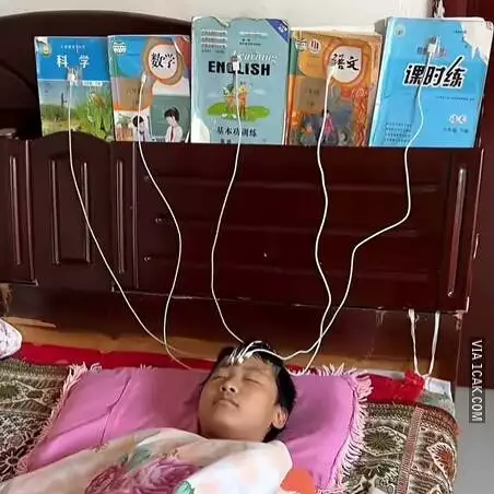 potret lucu manusia gunakan 100 presen otaknya © 2023 brilio.net