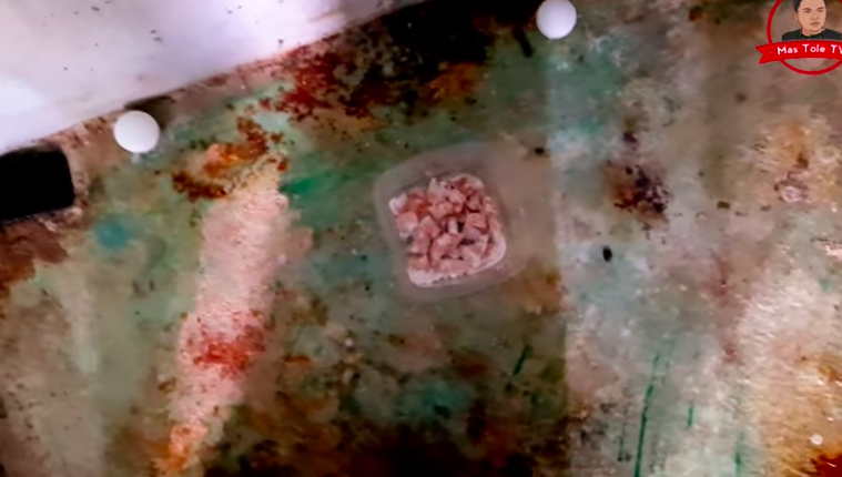 Bukan pakai lada bubuk, ini trik mudah bikin racun tikus cuma pakai 1 bahan dapur