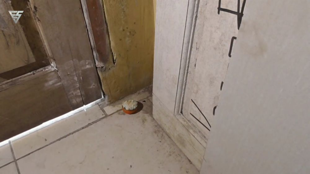 Nggak cuma beras, ini trik mudah bikin racun tikus yang ampuh cuma tambah 2 bahan dapur