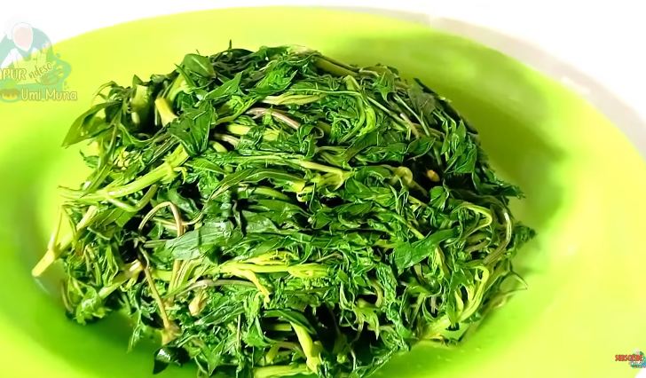 Nggak cuma garam, ini trik rebus daun kenikir agar empuk dan tak menghitam cuma tambah 1 bahan dapur