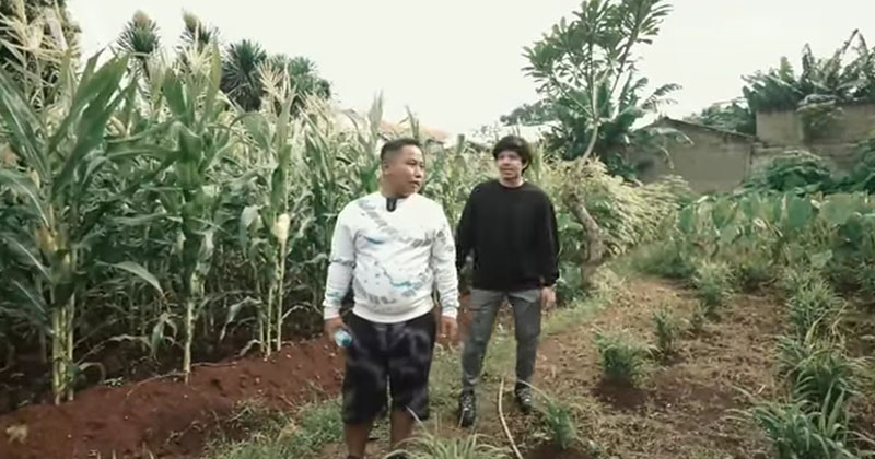 potret kebun bocah pipi tembem © YouTube potret kebun bocah pipi tembem © YouTube