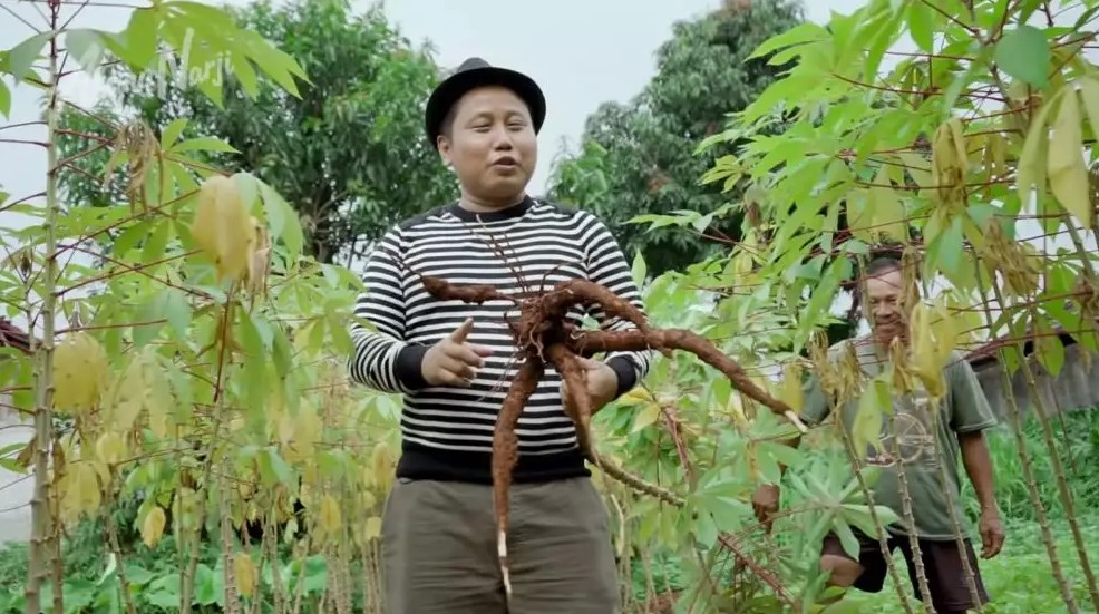 potret kebun bocah pipi tembem © YouTube