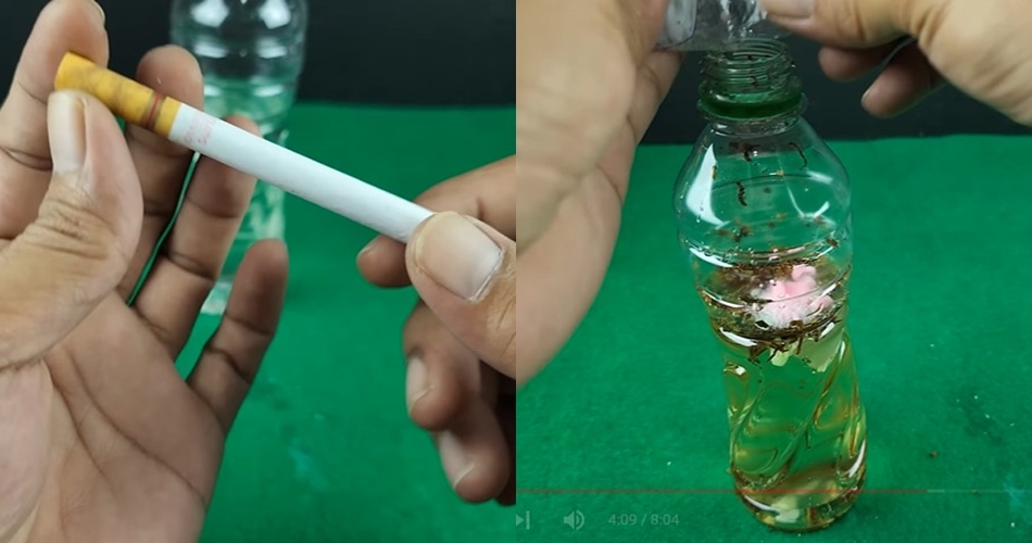 Simpel tanpa pakai perangkap, ini cara membasmi tikus cukup tambah 1 bahan dapur