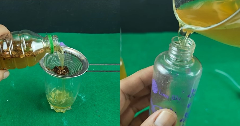 Simpel tanpa pakai perangkap, ini cara membasmi tikus cukup tambah 1 bahan dapur