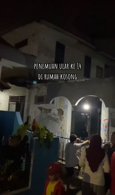 potret rumah di Matraman jadi sarang belasan ular sanca TikTok potret rumah di Matraman jadi sarang belasan ular sanca TikTok