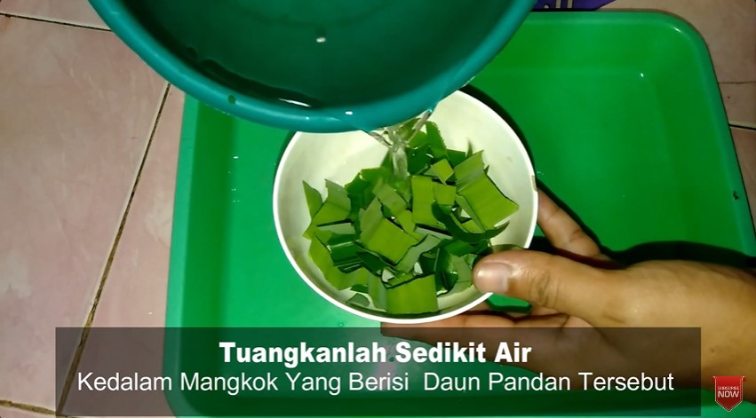 Simpel tanpa asap, ini cara mengusir lalat secara alami cukup pakai 1 bahan dapur