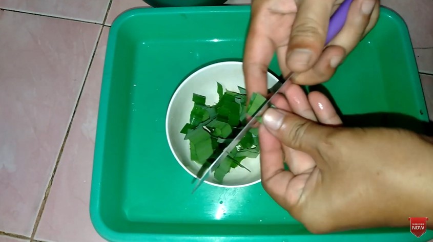 Simpel tanpa asap, ini cara mengusir lalat secara alami cukup pakai 1 bahan dapur