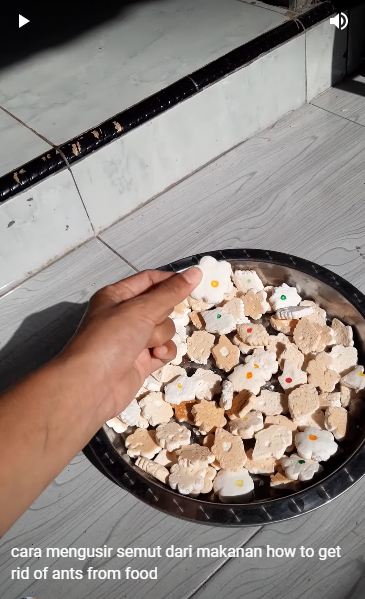 Tanpa disemprot cairan apapun, begini cara aman mengusir semut di makanan secara alami
