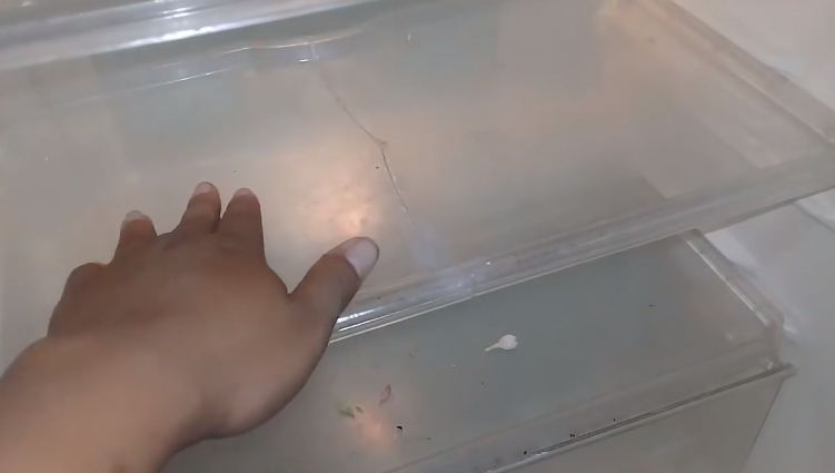 Bukan pakai lakban, ini cara mudah memperbaiki rak kulkas patah agar kembali utuh