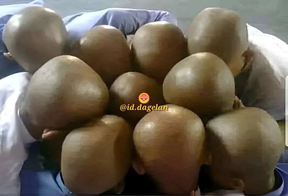 Potret lucu kebetulan ada manusia mirip harimau Berbagai sumber Potret lucu kebetulan ada manusia mirip harimau Berbagai sumber