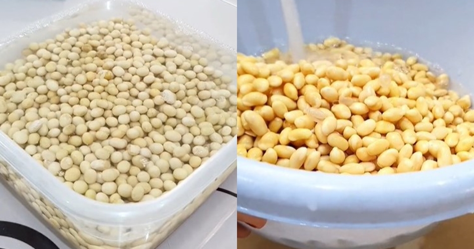 Cuma pakai 2 bahan, ini trik bikin tahu homemade agar lembut, enak, dan nggak asam