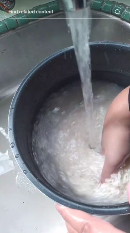 Trik masak beras yang telanjur berkutu ini hasilnya nggak bau apek, cukup pakai 1 jenis daun