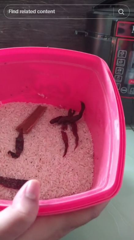 Trik masak beras yang telanjur berkutu ini hasilnya nggak bau apek, cukup pakai 1 jenis daun