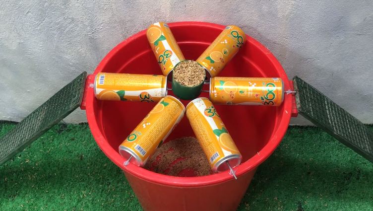 Bukan diberi racun, begini cara mudah bikin perangkap tikus cuma modal 1 sampah dapur