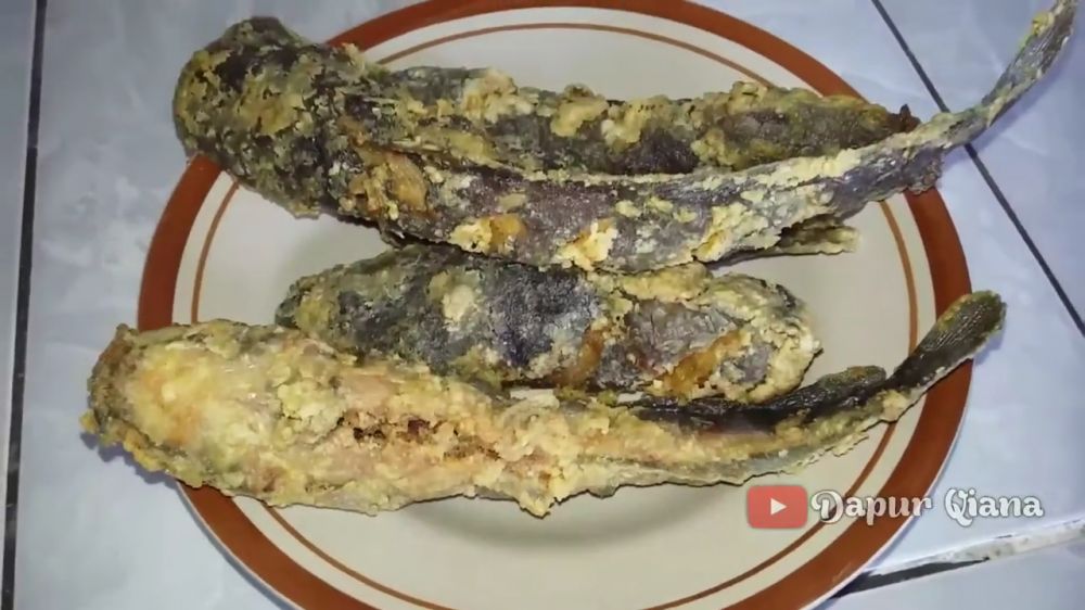 Tanpa tepung terigu, ini cara bikin lele krispi yang garing dan renyah tahan lama pakai 1 jenis tepung