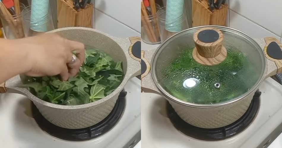 Tanpa baking soda atau asam jawa, trik rebus daun pepaya tak pahit dan tetap hijau pakai 1 bahan alami