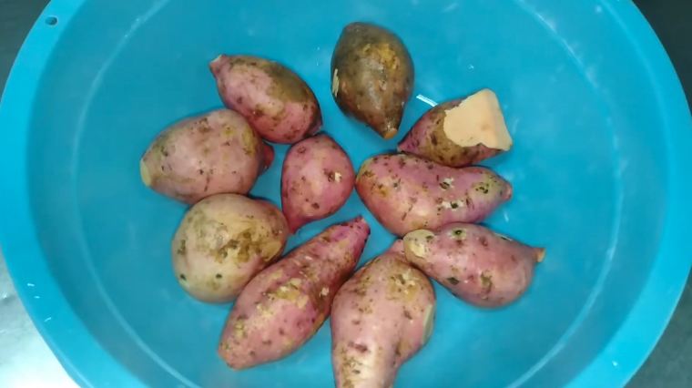 Trik mudah merebus ubi jalar agar hasilnya empuk, kesat, dan tidak mudah basi