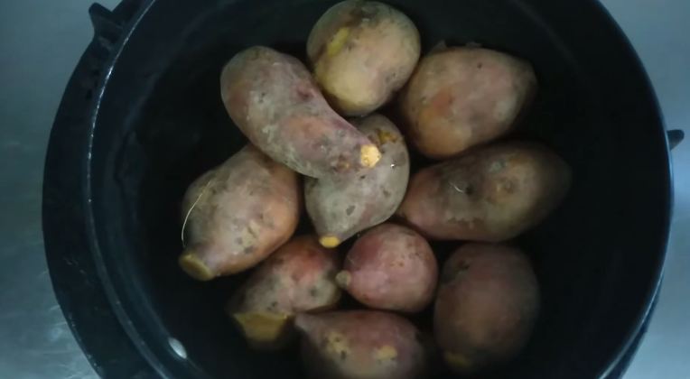 Trik mudah merebus ubi jalar agar hasilnya empuk, kesat, dan tidak mudah basi