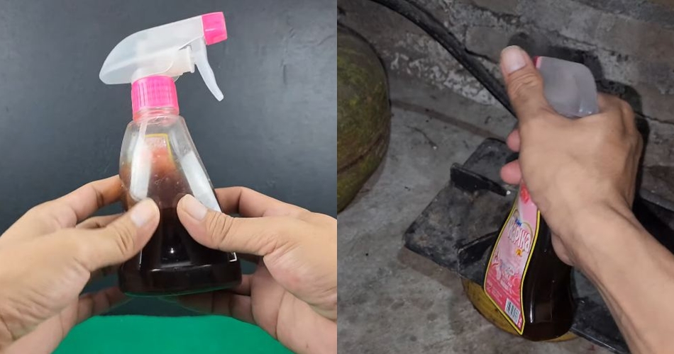 Tak perlu bikin perangkap, ini cara buat ramuan pengusir tikus cukup tambah 1 bahan minuman