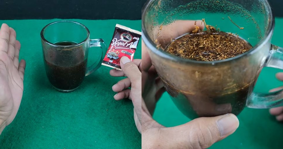 Tak perlu bikin perangkap, ini cara buat ramuan pengusir tikus cukup tambah 1 bahan minuman