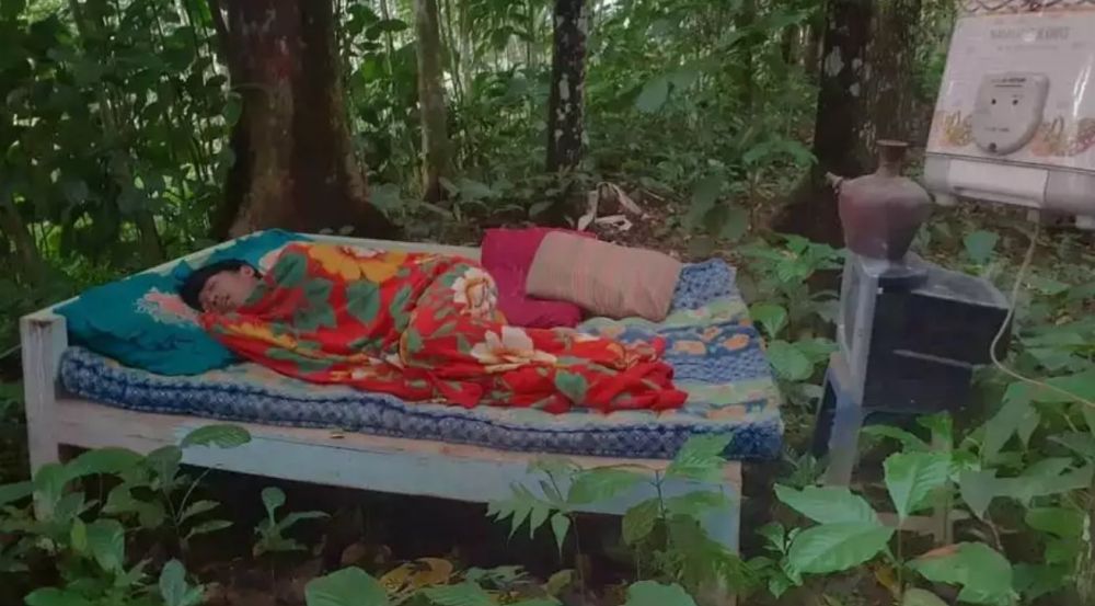 Desain kamar bernuansa alam bikin tepuk jidat Berbagai sumber