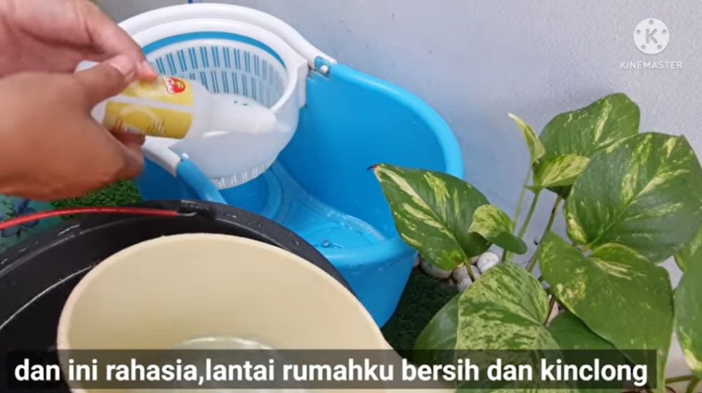 Tanpa sabun, begini cara mengepel lantai agar bersih kesat dan antiamis pakai 1 bahan dapur