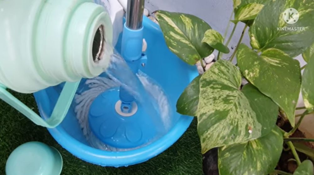 Tanpa sabun, begini cara mengepel lantai agar bersih kesat dan antiamis pakai 1 bahan dapur