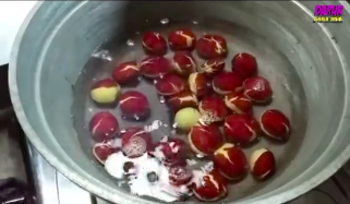 Nggak cuma daun salam, ini trik merebus jengkol agar empuk dan bebas bau cuma tambah 2 bahan dapur