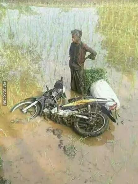 Potret kocak kelakuan petani saat musim tanam Berbagai sumber