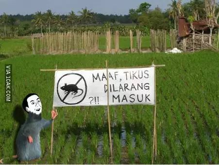 Potret kocak kelakuan petani saat musim tanam Berbagai sumber