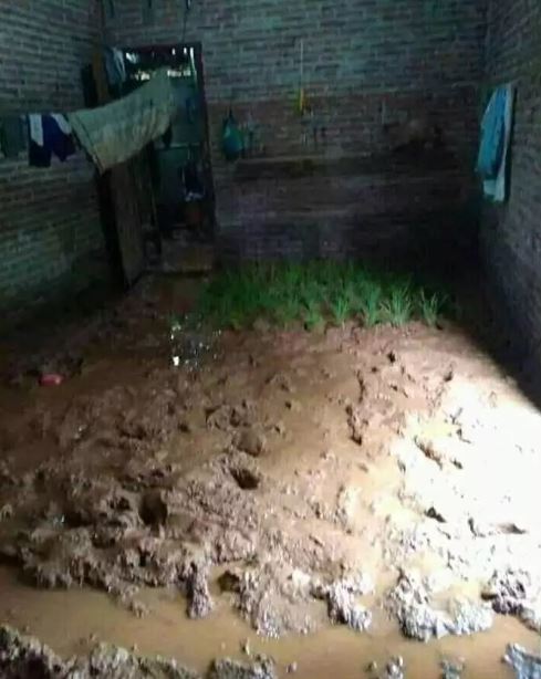 Potret kocak kelakuan petani saat musim tanam Berbagai sumber