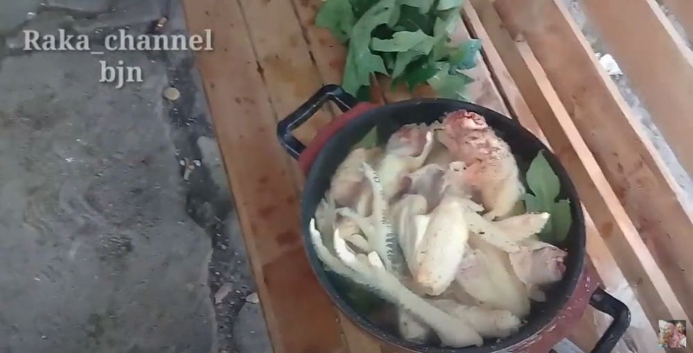 Cara merebus ayam kampung tua supaya cepat empuk tanpa presto, ampuh pakai 1 jenis daun