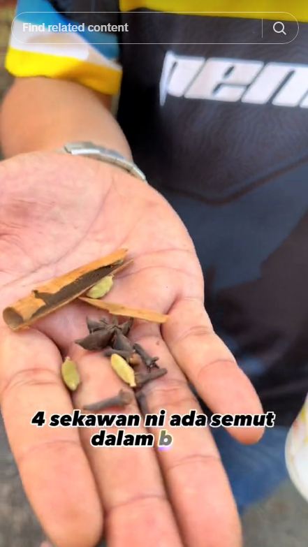 Cuma pakai bahan dapur, ini trik ampuh mengusir semut dari toples gula tanpa butuh waktu lama