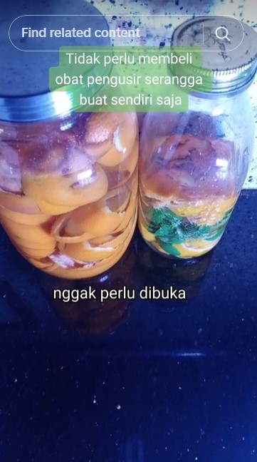Tanpa asap atau obat pembasmi serangga, ini cara simpel usir semut pakai tambahan 1 ampas dapur