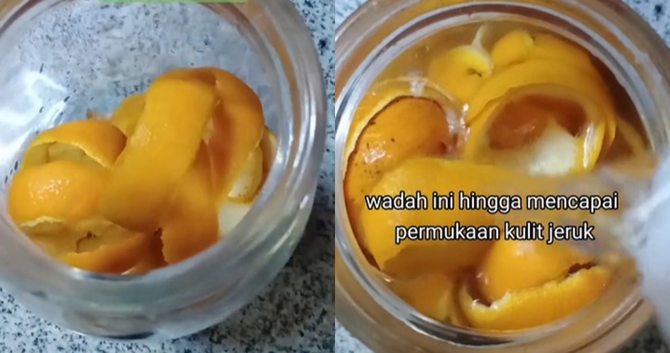 Tanpa asap atau obat pembasmi serangga, ini cara simpel usir semut pakai tambahan 1 ampas dapur