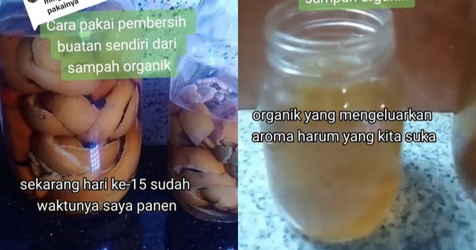 Tanpa asap atau obat pembasmi serangga, ini cara simpel usir semut pakai tambahan 1 ampas dapur