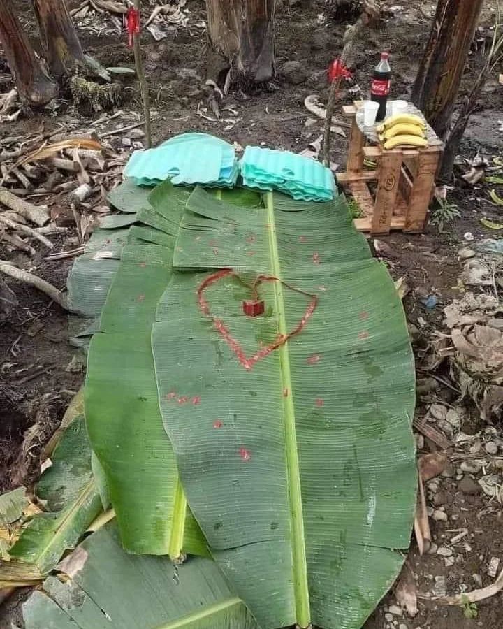 Potret lucu kasur bikin naik pitam Berbagai sumber Potret lucu kasur bikin naik pitam Berbagai sumber