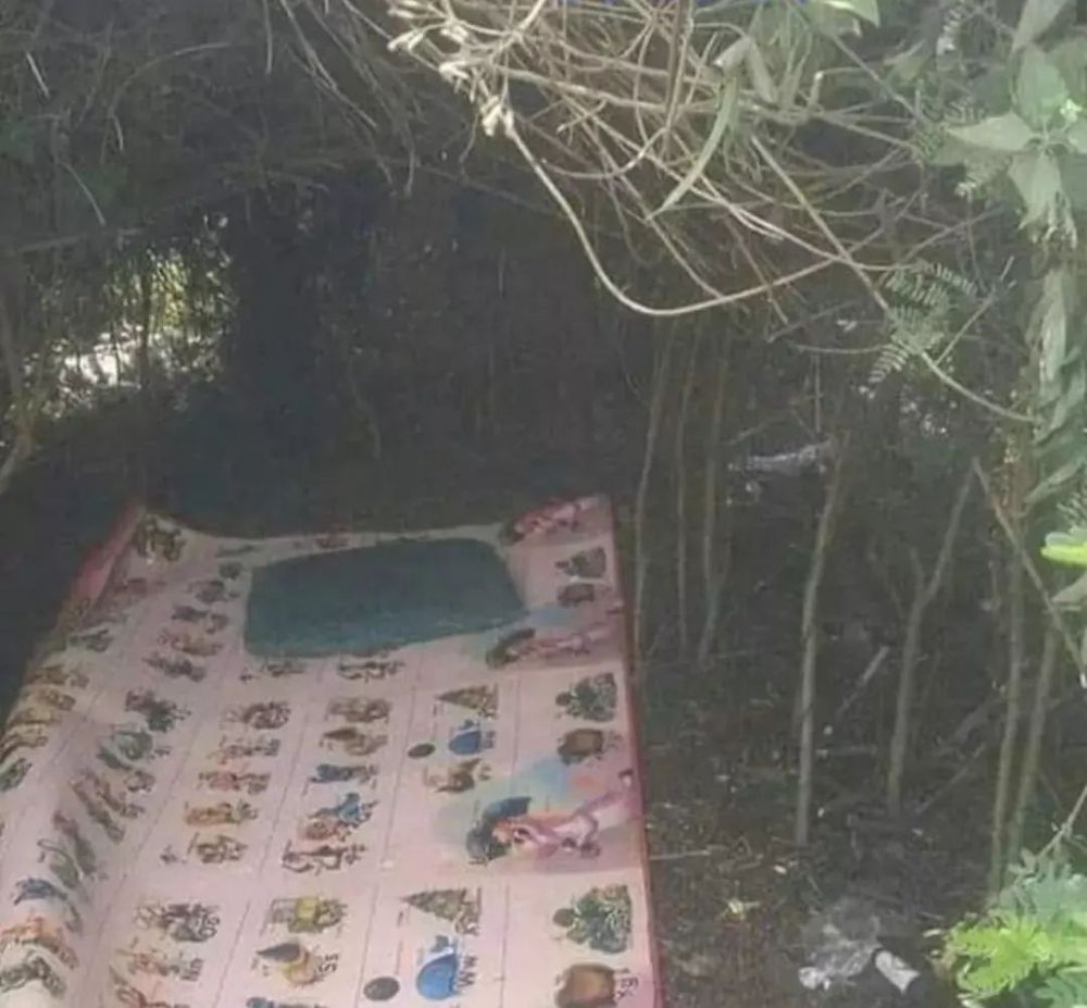 Potret lucu kasur bikin naik pitam Berbagai sumber Potret lucu kasur bikin naik pitam Berbagai sumber