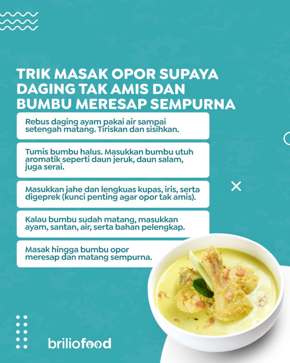 Cuma pakai 2 bahan dapur, ini trik masak opor ayam supaya tak bau amis