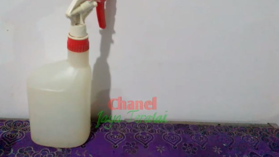 Modal 3 bahan dapur, begini cara mengusir tokek tanpa perlu menyentuh atau bikin perangkap